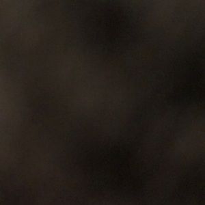 Meet your Posher, Evan